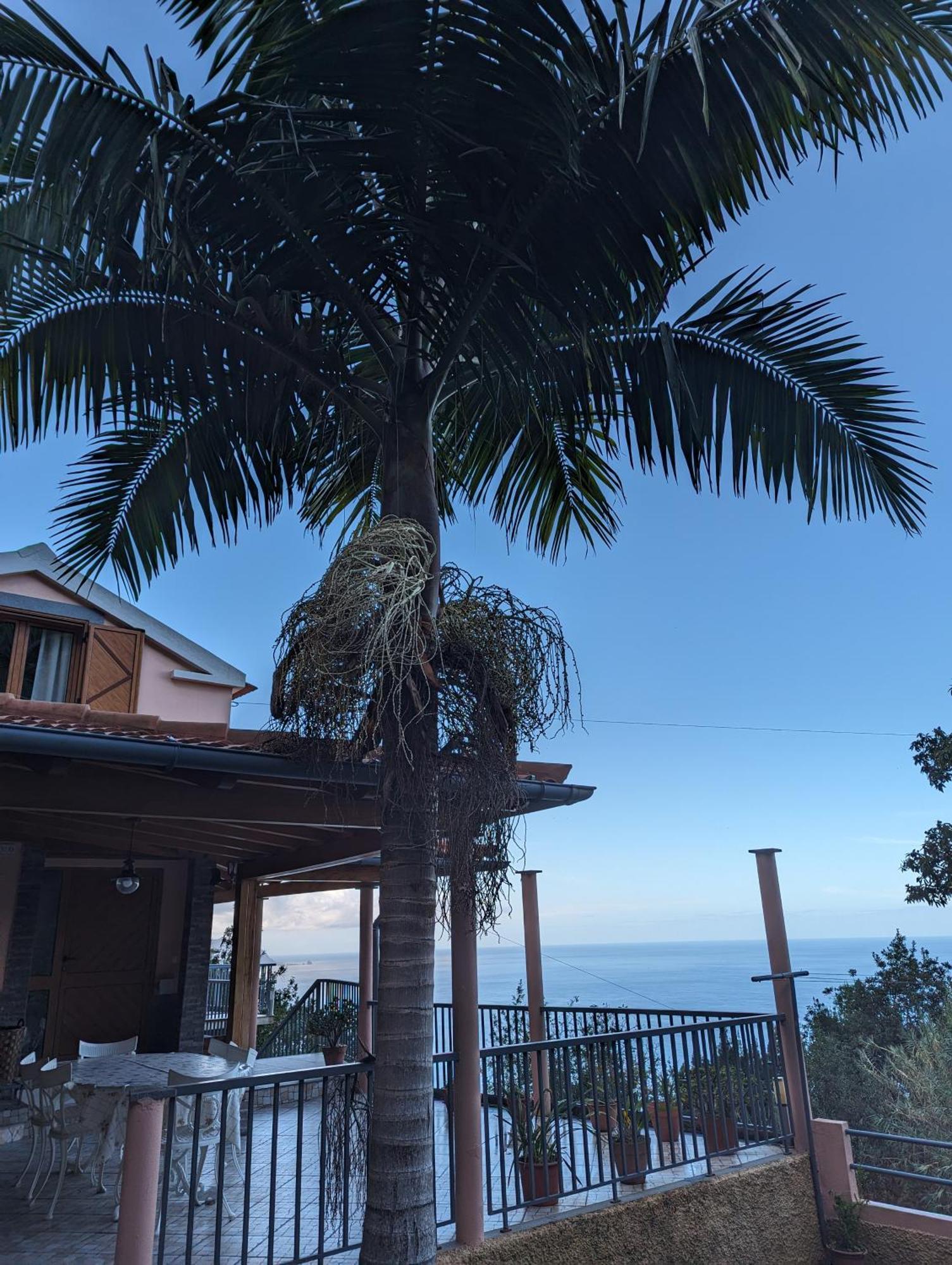 Fantatic Holiday House بونتا ديلغادا المظهر الخارجي الصورة