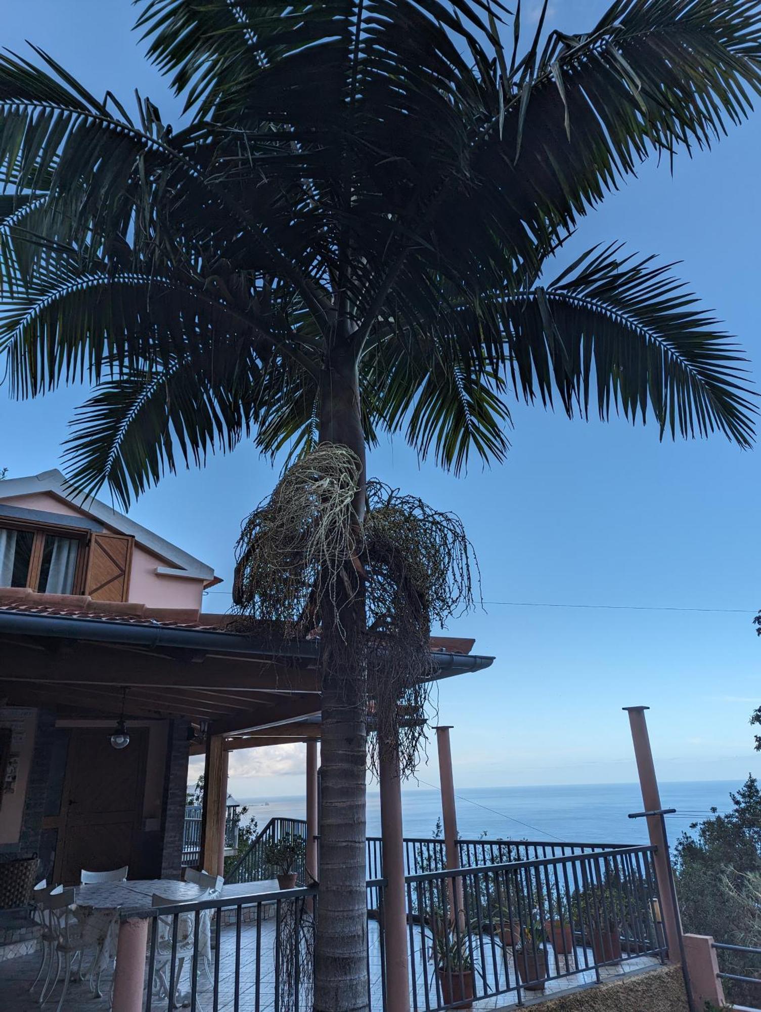Fantatic Holiday House بونتا ديلغادا المظهر الخارجي الصورة